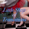 Little Shop of Transitions