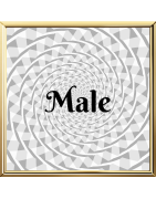 Attraction - Male